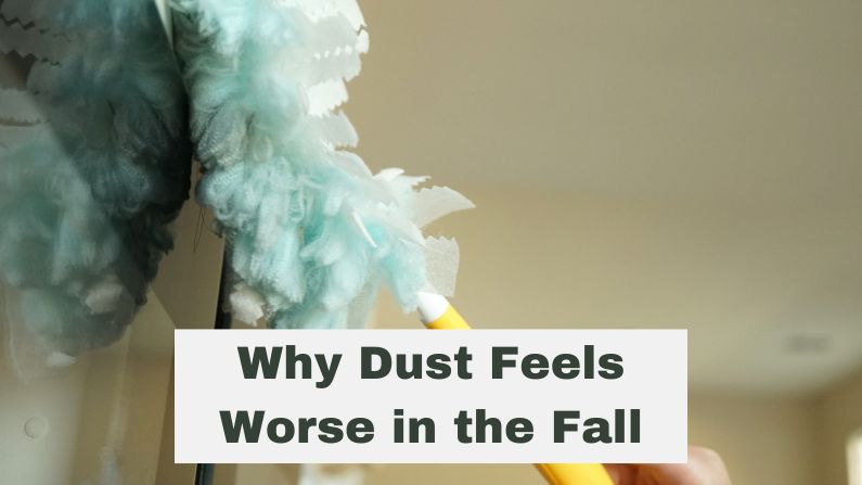Why Dust Feels Worse in the Fall